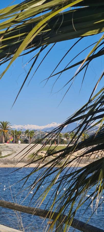 Villa Ange Azur 2 Villeneuve-Loubet Exterior photo